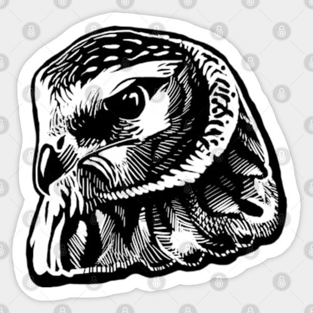 Northern Harrier Sticker by conflictedlizard